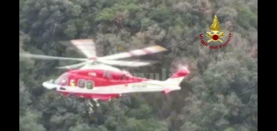 Placanica: i vigili del fuoco salvano un cane precipitato nel burrone. Il video del salvataggio Placanica: i vigili del fuoco salvano un cane precipitato nel burrone. Il video del salvataggio