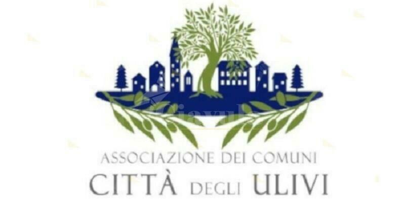 Intimidazioni a Don Rigoli, la solidarietà dei sindaci della “Città degli Ulivi”