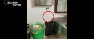 Troppo lento durante il servizio, accoltellato dipendente di un ristorante. Arrestati altri due giovani calabresi item-thumbnail