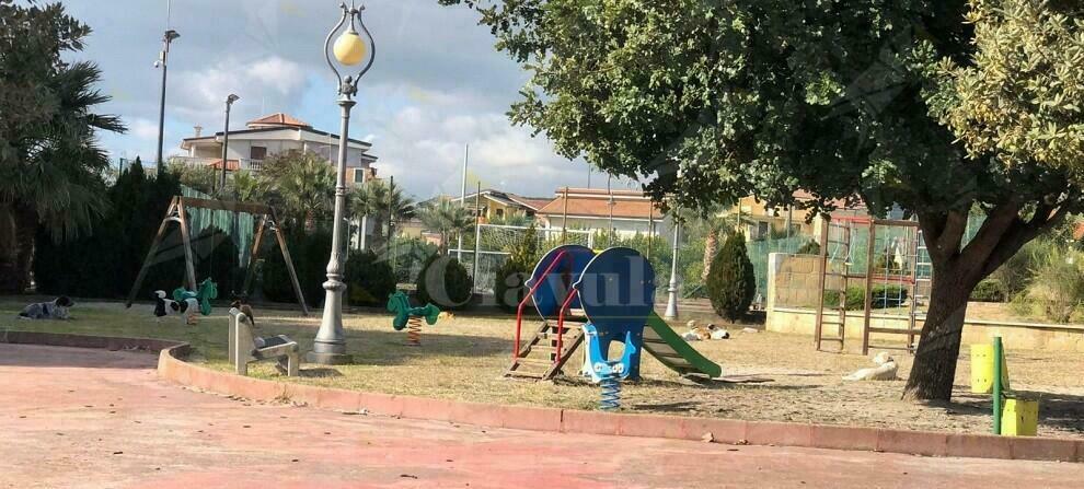 Cani randagi invadono il parco giochi di Caulonia. Passanti in fuga