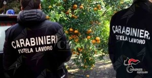 Sfruttamento di braccianti nella Piana di Gioia Tauro, quattro persone in manette item-thumbnail