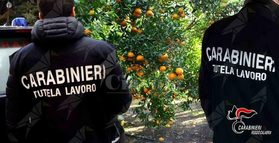 Sfruttamento di braccianti nella Piana di Gioia Tauro, quattro persone in manette