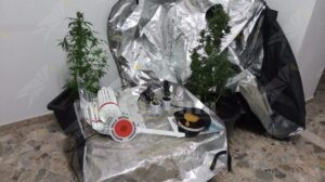 Calabria: detengono e producono sostanze stupefacenti, due persone denunciate item-thumbnail