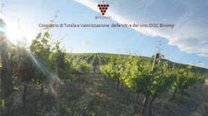 A Roccella convegno sul vino DOC Bivongi item-thumbnail