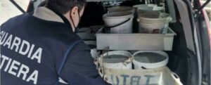 Sulla Statale 106 con 460kg di novellame sarda: multa salata per un autotrasportatore item-thumbnail