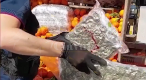Trasportavano 70 kg di droga tra le arance, due persone in manette item-thumbnail
