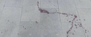 Locri, rissa a colpi di arma da taglio nei pressi del palazzo municipale item-thumbnail