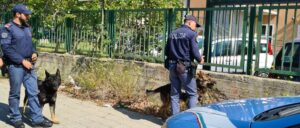 Calabria: continuano i controlli contro le attività di spaccio di stupefacenti. Fermato un soggetto item-thumbnail