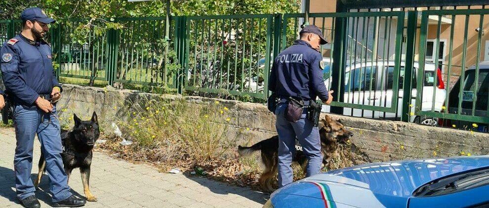 Controlli antidroga nelle scuole di Crotone: sequestrate dosi di marijuana e hashish