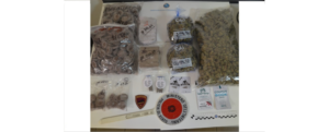 Arrestato dalle volanti con 2,5 kg di droga. Scattano le manette per un calabrese item-thumbnail