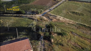 Furto ed estorsione aggravata dal metodo mafioso, 12 persone in manette item-thumbnail