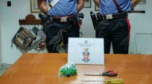 Calabria: Tentano di rubare oggetti ludici da un asilo nido. Due arresti item-thumbnail
