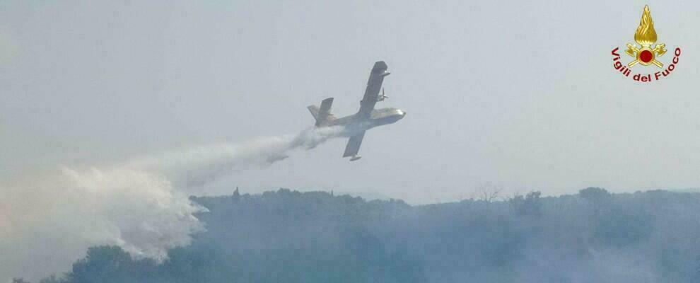 Numerosi incendi nel vibonese, distrutti 8 ettari di bosco