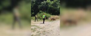 Tragedia in Calabria, turista trovato morto sotto una parete rocciosa item-thumbnail