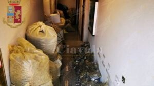 Calabria: Sorpreso in possesso di 570 kg di marijuana, arrestato item-thumbnail