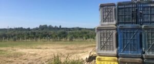 Fuori dal ghetto, la prima edizione del “Rosarno Film Festival” item-thumbnail
