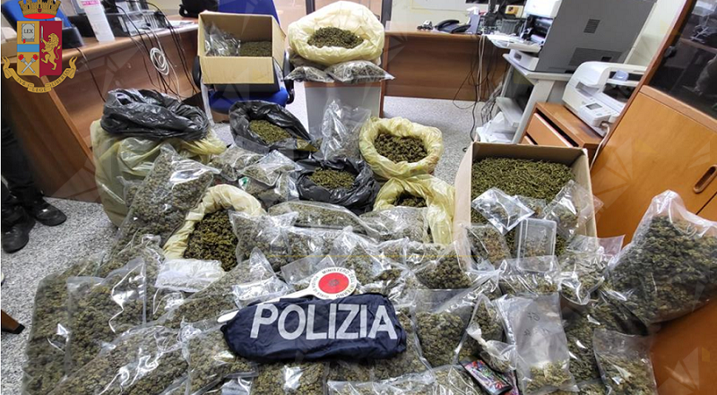 Calabria: Detiene in casa 51 kg di marijuana, arrestato