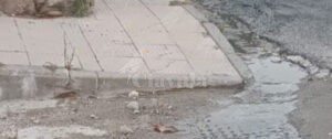 Segnalazione del lettore: “Da giorni perdita d’acqua vicino al comune di Caulonia” item-thumbnail