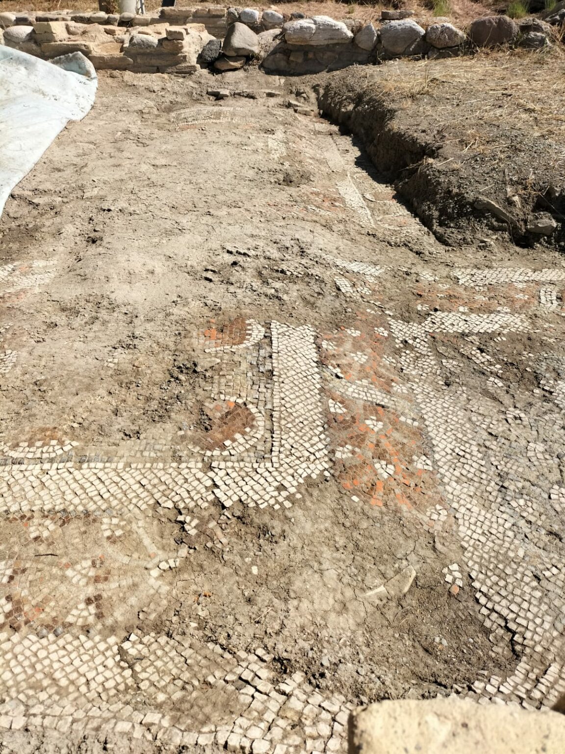 casignanamosaicirestaurati5 Ciavula