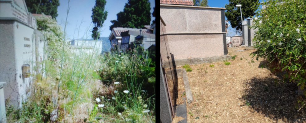 Ripuliti i cimiteri delle frazioni cauloniesi di Ursini, San Nicola e Campoli