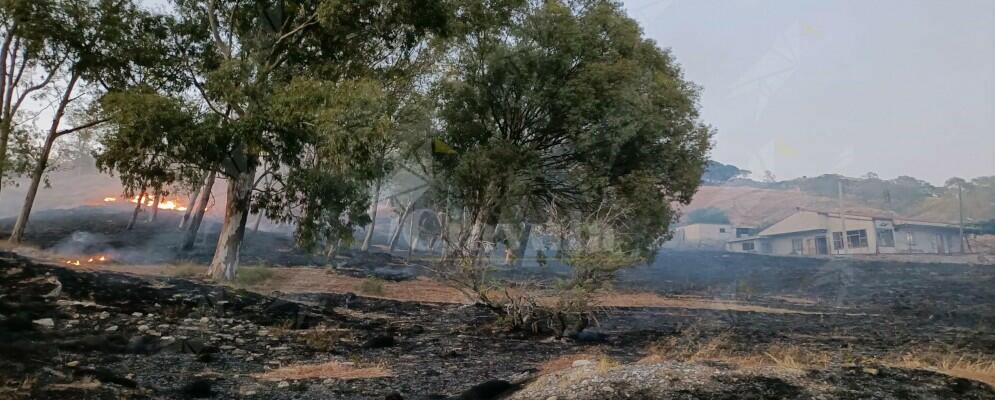 Incendio a Candidati di Caulonia, tempestivo intervento della protezione civile