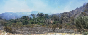 Incendi a San Nicola di Caulonia, volontari e vigili del fuoco in azione item-thumbnail