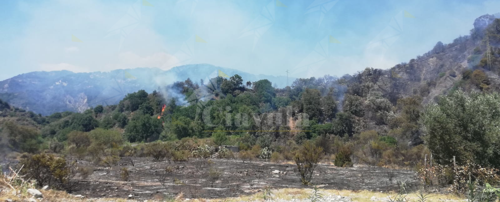 Incendi a San Nicola di Caulonia, volontari e vigili del fuoco in azione