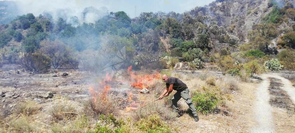 Incendio a San Nicola di Caulonia: Si contano i danni. Un apicoltore ha visto bruciare 50 arnie