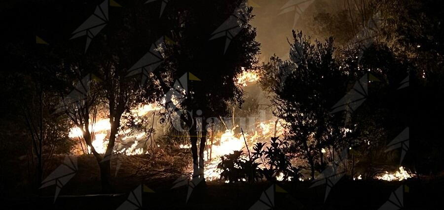 Incendio a Caulonia in via dei Carafa. Fotogallery e video