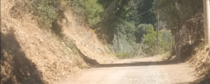 Ripulita la strada tra Ursini e Stefano. Sorgiovanni: “Dopo anni di abbandono, strada finalmente rimessa in sesto” item-thumbnail