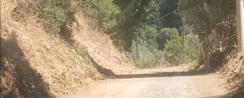 Ripulita la strada tra Ursini e Stefano. Sorgiovanni: “Dopo anni di abbandono, strada finalmente rimessa in sesto”