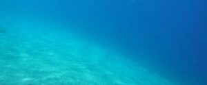 Uomo cade in mare nello Stretto, ricerche in corso item-thumbnail