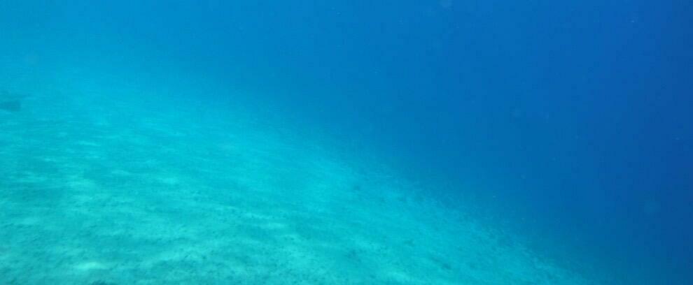 Uomo cade in mare nello Stretto, ricerche in corso