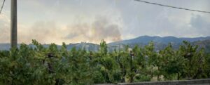 Caulonia colpita da un nuovo incendio item-thumbnail