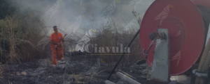 Incendio nella frazione Ternità di Caulonia: interviene la protezione civile item-thumbnail