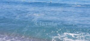 La segnalazione del turista: “Perchè a Caulonia è stata assegnata la bandiera blu?” item-thumbnail