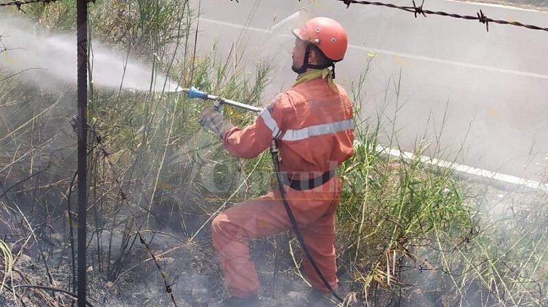 Paura nel catanzarese, fiamme alte minacciano abitazioni