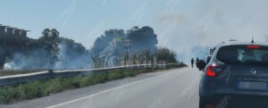 Incendio sulla Statale 106 tra Riace e Stignano: traffico interrotto item-thumbnail