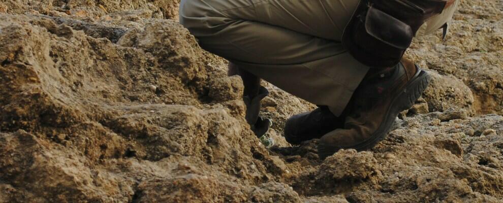 Scoperte in Calabria sei tombe di epoca romana