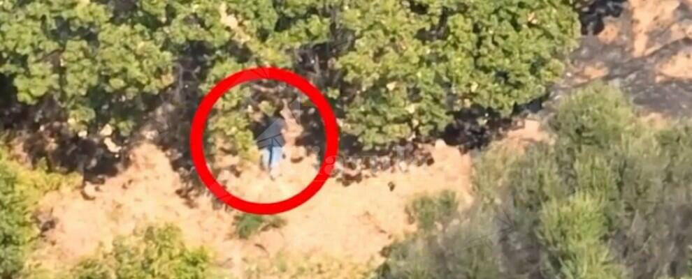 Ripreso dal drone mentre appicca un incendio: arrestato un piromane in Calabria