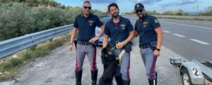 Agente di polizia salva cane abbandonato sulla S.S. 106 e lo adotta item-thumbnail