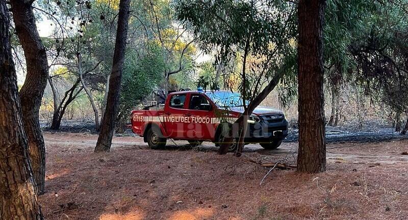 Piromani in azione a Locri. Il sindaco: “Alcuni imbecilli hanno tentato di distruggere le nostre pinete marine”