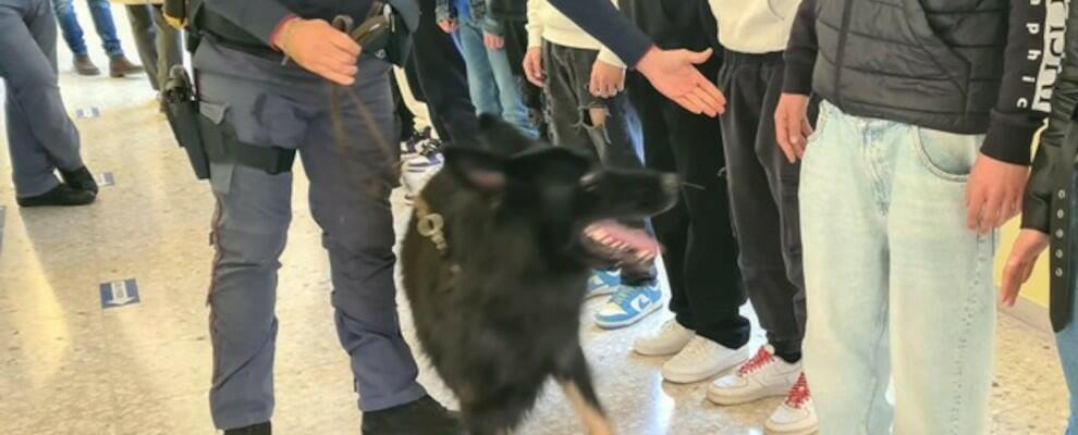 Allarme droga: colto a spacciare eroina davanti a scuola, hashish nello zaino di uno studente e sul davanzale dell’aula