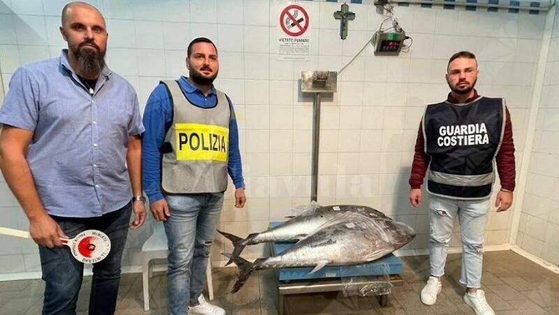 Fermato sulla SS 106 con 190 kg di prodotti ittici non tracciati, multato