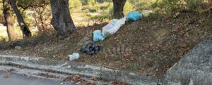 “Lordazzi” in azione in località Camillari di Caulonia item-thumbnail