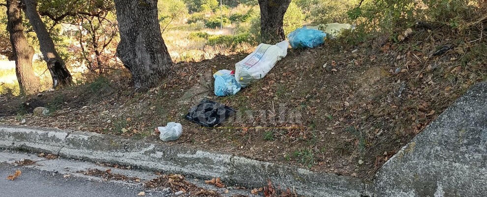 “Lordazzi” in azione in località Camillari di Caulonia