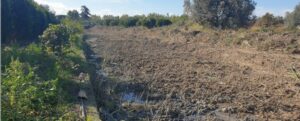 Caulonia: la storia infinita del torrente Canne item-thumbnail
