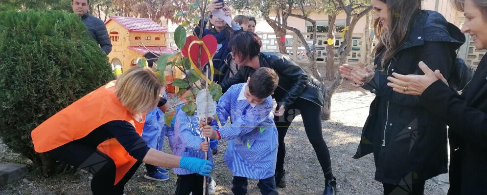 Scuola Infanzia Vasì, la “Giornata Nazionale degli Alberi” diventa messaggio di pace e di rispetto dell’altro