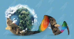 Il comune di Siderno aderisce alla campagna di volontariato “Puliamo il Mondo” item-thumbnail