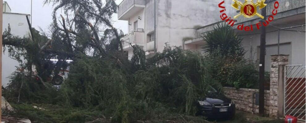 Tragedia del maltempo a Reggio Calabria, uomo muore schiacciato da un albero